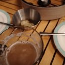 트레비어 이미지