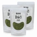 조은 이미지