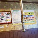 낙동생오리 이미지