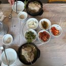 [강원/평창]평창현지인맛집추천!!한방 삼계탕, 장수현 산양삼을 품은 닭
