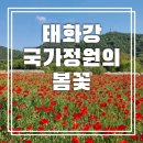 죽림마차 | 정원 /해설투어/ 관람차 탑승/ 자전거 대여 / 울산마차 / 유모차대여 휠체어 대여 /무료 사물함 /축제일정