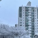 바나프레소 신촌로터리점 이미지