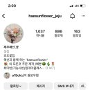 해선플라워 이미지