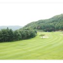 주식회사 디도 이미지