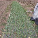 소소농장 이미지