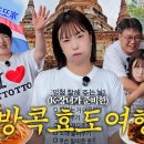 마이프렌 Daum카페