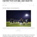 슈틸리케호 '카타르 단교'로 불똥…UAE서 항공편 막혀 이미지