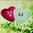 우리집 강아지 이미지