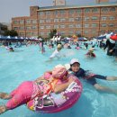 숭례초등학교 이미지