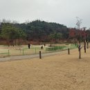 행구수변공원 이미지