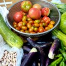 수지목장 이미지