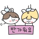 놀밥