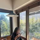 논실카 네이버블로그
