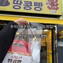 옹기종기 | 추석선물추천 부산기장맛집 기장옹기종기땅콩빵 포장후기