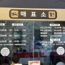 더마파크 공연장 이미지