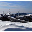 삼양목장 이미지