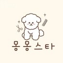 몽몽스타 이미지