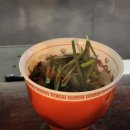 사공오 | 구디 이자카야 나만의 또간집 &#39;다운&#39; 재방문 후기ㅣ구로디지털단지역 혼술 가능한 술집