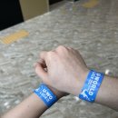 안심산길 | 전남 여수 가볼만한곳 유월드 루지 테마파크 슈퍼패스 후기(롤글라이더, 루지, 레이저 아레나)