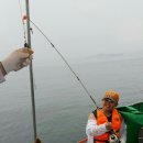 코레일낙산연수원 야영장 이미지