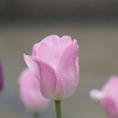 지원정보주식회사 이미지