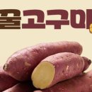 건강이농장 이미지