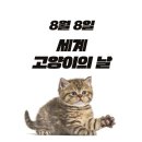 8월8일 세계 고양이의 날 이미지