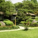 관광농원 이미지