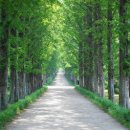 큰나무작은도서관 이미지