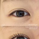 속눈썹펌 VS 속눈썹연장, 나에게 맞는 시술은?