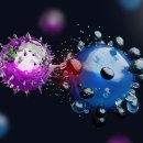 온체헬스스토어 이미지