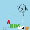 강아지의하루