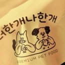 호진슈퍼 | 김선호, 이사통 고윤정 설렘 멈췄던 시간의 끝에서 웃다