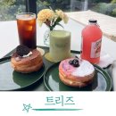 트리즈 | 서울 근교 성남 애견동반 가능한 대형카페 트리즈 후기