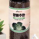 새마을유통 이미지