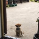 명욱농장 이미지