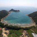 완도 미라리 상록수림 이미지