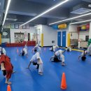 용인대비호태권도장 이미지