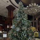 델마르 | [강남/학동] 그랜드 머큐어 임페리얼 팰리스 카페 델마르 방문 후기