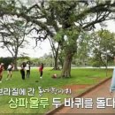 빠다리아 이미지