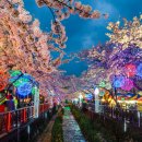 대전한국병원 이미지