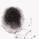 제임스 앨런, 『사람이 생각하는 대로』, 6장 [1/2] 이미지