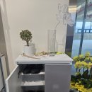 우두1길3 | [춘천 두피관리] 우두동 모온스칼프, 탈모 두피 관리 후기