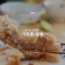 법인거목