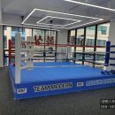 모던복싱클럽 지축 이미지