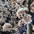 논산지구대 앞 이미지