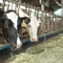 상훈축산 이미지