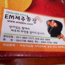 솔티농장 이미지