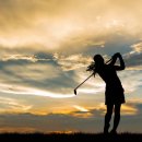 오늘의골프 2연습장 이미지