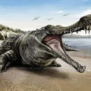 사르코수쿠스 이미지